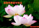 Published on 1/28/2017 ���ֹ�,��½�󷨵��ӹ�ףʦ�������(29��)