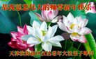 Published on 1/25/2017 ���ֹ�,��½�󷨵��ӹ�ףʦ�������(39��)