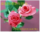 Published on 1/25/2017 ���ֹ�,��½�󷨵��ӹ�ףʦ�������(27��)