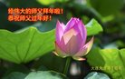 Published on 1/25/2017 ���ֹ�,��½�󷨵��ӹ�ףʦ�������(27��)