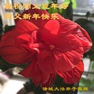 Published on 1/25/2017 ���ֹ�,��½�󷨵��ӹ�ףʦ�������(26��)