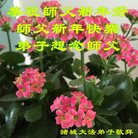 Published on 1/25/2017 ���ֹ�,��½�󷨵��ӹ�ףʦ�������(26��)