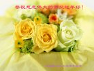 Published on 1/25/2017 ���ֹ�,��½�󷨵��ӹ�ףʦ�������(25��)