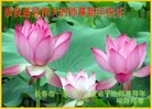 Published on 1/25/2017 ���ֹ�,��½�󷨵��ӹ�ףʦ�������(25��)