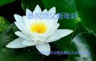 Published on 1/25/2017 ���ֹ�,��½�󷨵��ӹ�ףʦ�������(25��)