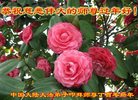 Published on 1/29/2017 ���ֹ�,��½�󷨵��ӹ�ףʦ�������(33��)