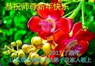 Published on 1/25/2017 ���ֹ�,��½�󷨵��ӹ�ףʦ�������(26��)