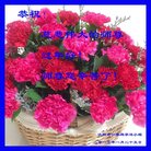 Published on 1/25/2017 ���ֹ�,��½�󷨵��ӹ�ףʦ�������(27��)