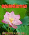 Published on 1/28/2017 ���ֹ�,��½�󷨵��ӹ�ףʦ�������(29��)