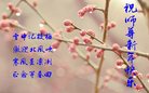 Published on 1/28/2017 ���ֹ�,��½�󷨵��ӹ�ףʦ�������(29��)