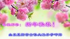 Published on 1/28/2017 ���ֹ�,��½�󷨵��ӹ�ףʦ�������(29��)