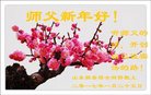 Published on 1/28/2017 ���ֹ�,��½�󷨵��ӹ�ףʦ�������(46��)