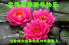 Published on 1/25/2017 ���ֹ�,��½�󷨵��ӹ�ףʦ�������(25��)