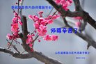 Published on 1/25/2017 ���ֹ�,��½�󷨵��ӹ�ףʦ�������(25��)