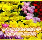 Published on 1/25/2017 ���ֹ�,��½�󷨵��ӹ�ףʦ�������(26��)