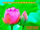 Published on 1/25/2017 ���ֹ�,��½�󷨵��ӹ�ףʦ�������(26��)