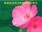 Published on 1/25/2017 ���ֹ�,��½�󷨵��ӹ�ףʦ�������(27��)