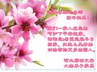 Published on 1/29/2017 ���ֹ�,���������˹�ףʦ�������(27��)