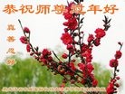 Published on 1/27/2017 ���ֹ�,��½40�����ҵ�Ĵ󷨵��ӹ�ףʦ������ã�