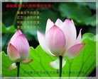 Published on 1/29/2017 ���ֹ�,�й�����ѧ��С��󷨵��ӹ�ףʦ������