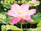 Published on 1/27/2017 ���ֹ�,��½40�����ҵ�Ĵ󷨵��ӹ�ףʦ������ã�