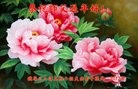 Published on 1/28/2017 ���ֹ�,�����಻и������½���ӹ�ףʦ�������