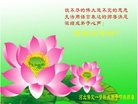 Published on 1/25/2017 ���ֹ�,��½�󷨵��ӹ�ףʦ�������(39��)