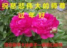 Published on 1/25/2017 ���ֹ�,��½�󷨵��ӹ�ףʦ�������(26��)
