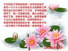 Published on 1/25/2017 ���ֹ�,��½�󷨵��ӹ�ףʦ�������(26��)
