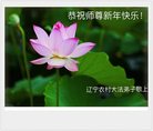 Published on 1/29/2017 ���ֹ�,��½�󷨵��ӹ�ףʦ�������(28��)