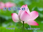 Published on 1/25/2017 ���ֹ�,��½�󷨵��ӹ�ףʦ�������(38��)