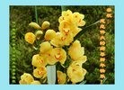ֹ,Ĵ󷨵ӹףʦ(31)