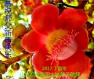 Published on 1/29/2017 ���ֹ�,���󷨵��ӹ�ףʦ�������(25��)