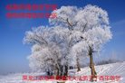 Published on 1/28/2017 ���ֹ�,����ҵ�󷨵��ӹ�ףʦ�������(28��)
