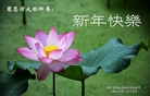 ֹ,«󷨵ӹףʦ(24)