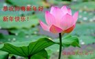 Published on 1/25/2017 ���ֹ�,��½�󷨵��ӹ�ףʦ�������(25��)