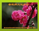 Published on 1/25/2017 ���ֹ�,���󷨵��ӹ�ףʦ�������(26��)