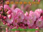 Published on 1/25/2017 ���ֹ�,��½�󷨵��ӹ�ףʦ�������(27��)
