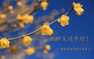 ֹ,󷨵ӹףʦ(21)