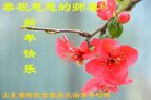 Published on 1/27/2017 ���ֹ�,����ϵͳ�󷨵��ӹ�ףʦ�������(25��)