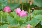 ֹ,Ĵ󷨵ӹףʦ(26)