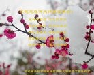 Published on 1/29/2017 ���ֹ�,���ϡ����ա�ɽ�����ӱ������յȵش󷨵��ӹ�ףʦ�������(40��)