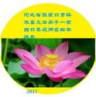 ���ֹ�,�żҿڴ󷨵��ӹ�ףʦ�������(29��)