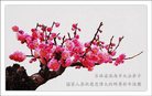Published on 1/29/2017 ���ֹ�,��½�󷨵��ӹ�ףʦ�������(28��)