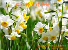 Published on 1/25/2017 ���ֹ�,��½�󷨵��ӹ�ףʦ�������(26��)
