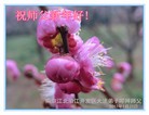 Published on 1/29/2017 ���ֹ�,���֡�ɽ���������������յȵش󷨵��ӹ�ףʦ�������(28��)