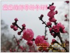 Published on 1/29/2017 ���ֹ�,���֡�ɽ���������������յȵش󷨵��ӹ�ףʦ�������(28��)