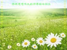 Published on 1/29/2017 ���ֹ�,���֡�ɽ���������������յȵش󷨵��ӹ�ףʦ�������(28��)