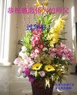 Published on 1/30/2017 ���ֹ�,�㶫�����������ݵ�14ʡ�д󷨵��ӹ�ףʦ�������(29��)