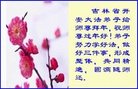 Published on 1/25/2017 ���ֹ�,��½�󷨵��ӹ�ףʦ�������(26��)